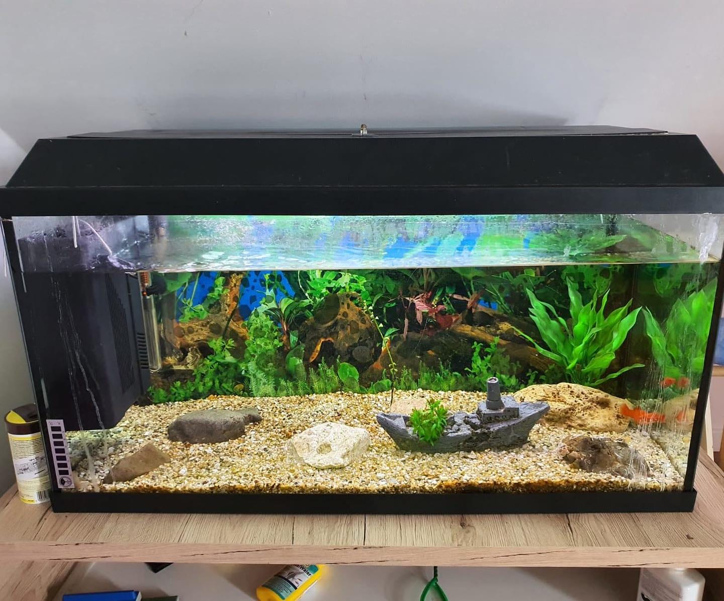 Akvarijumi za ribice - Image 5