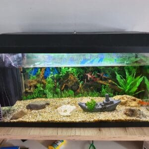 Akvarijumi za ribice