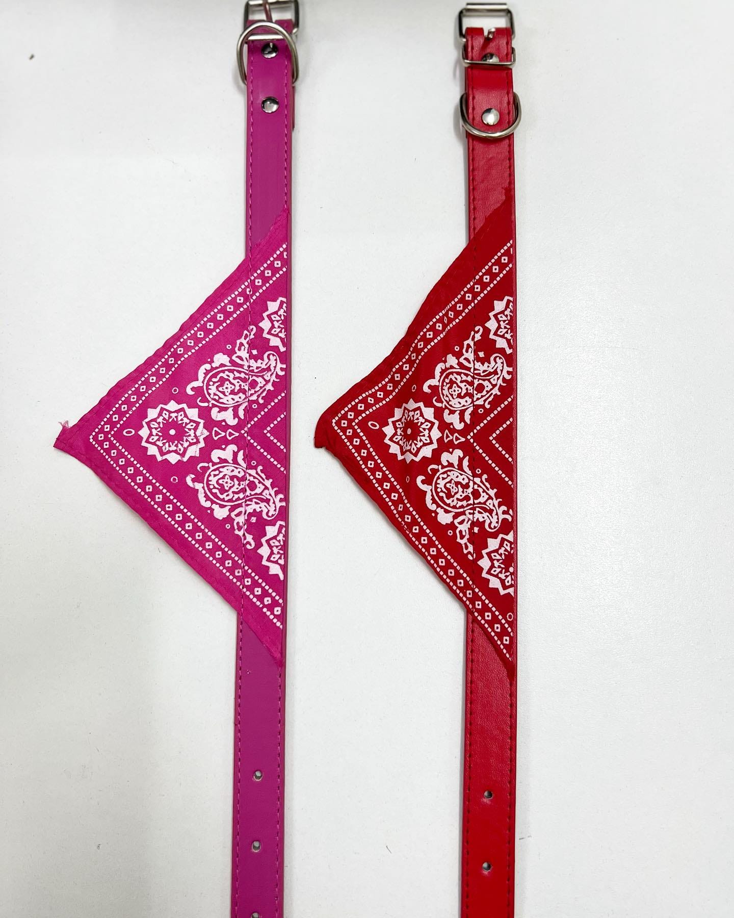Psi - ostala oprema - Image 10