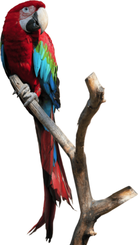 d6f9a9d83880306d8bbc7d30063ea3d7.png
